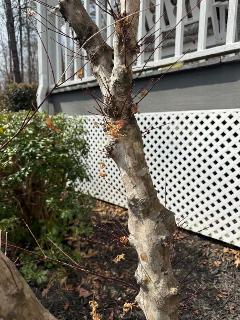 Fence Installation